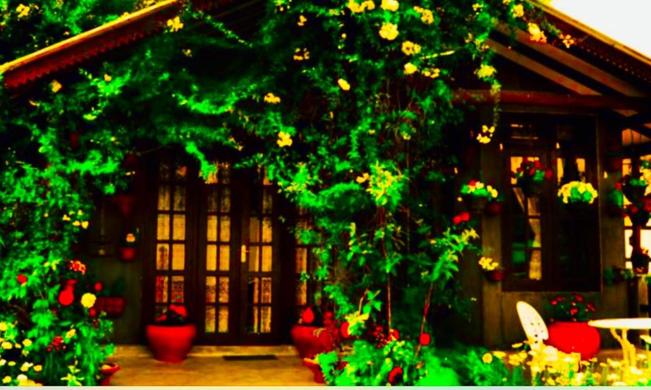 Serendipity Lake Artistic Bungalow By Heidis Home Nuwara Eliya Exteriér fotografie